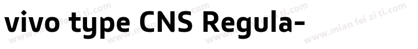 vivo type CNS Regula字体转换